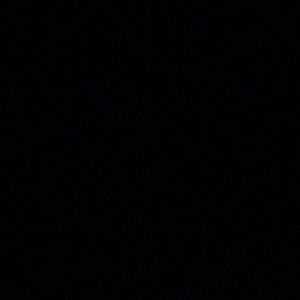 Meet your Posher, Bennett